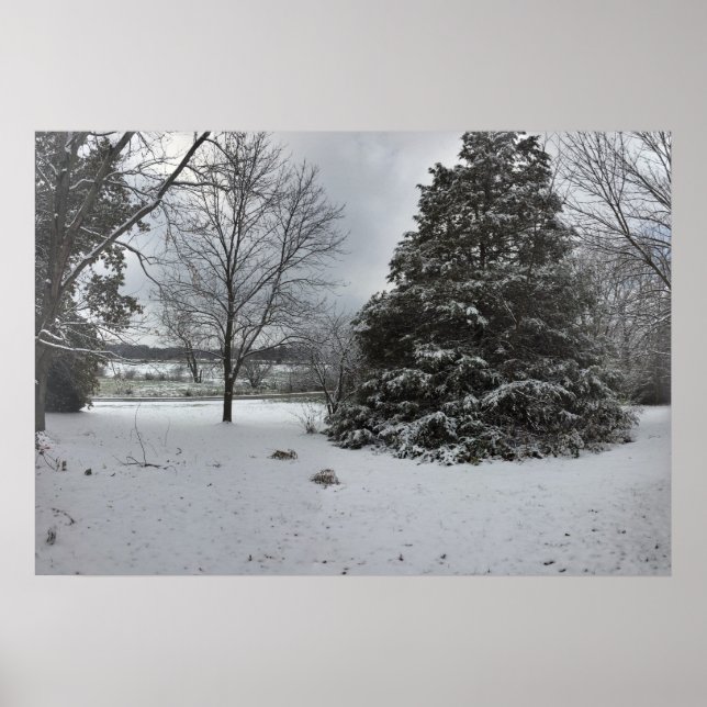 Cold Snowy Winter Day Poster (Vorne)