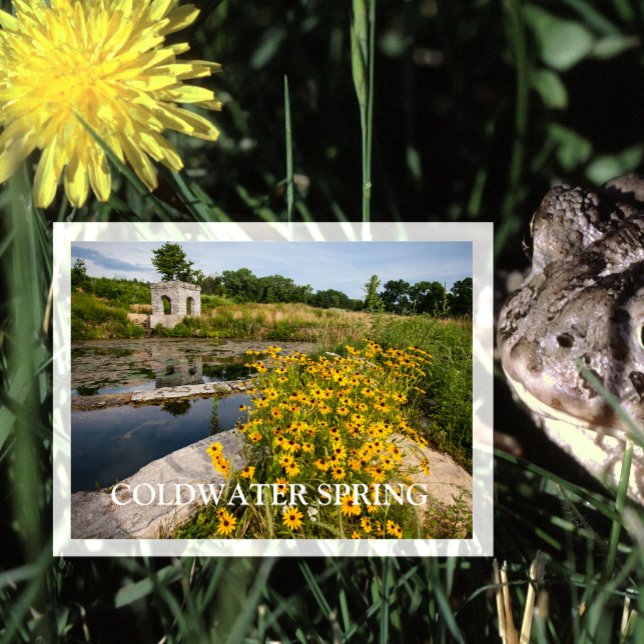 Coldwater Spring Park, Mississippi National River Postkarte (Von Creator hochgeladen)