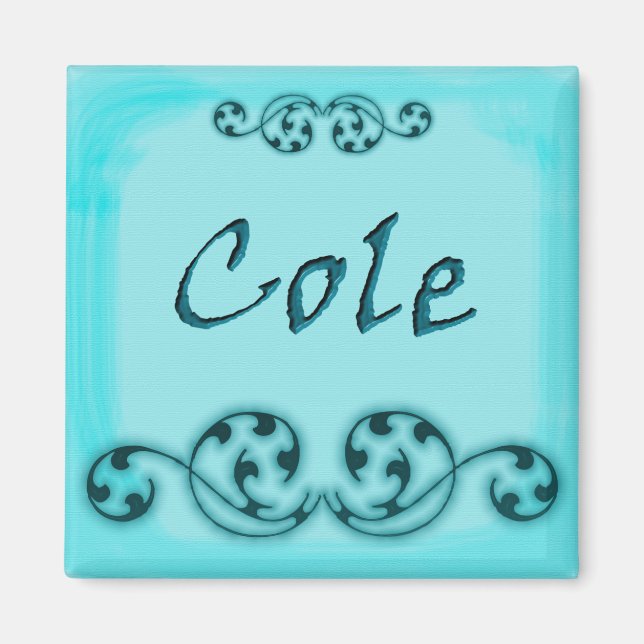 Cole Ornamental Magnet (Vorne)