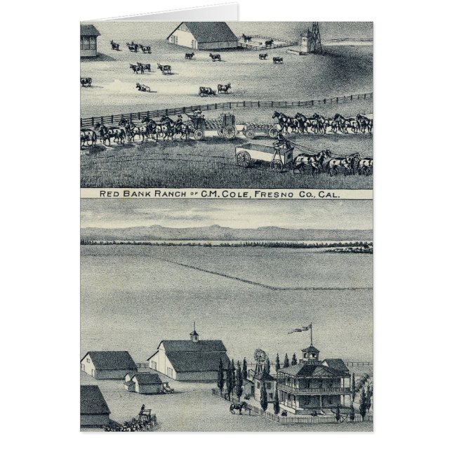 Cole Ranches (Vorne)