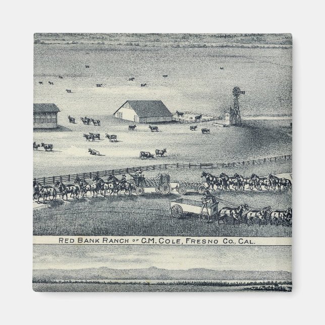 Cole Ranches Magnet (Vorne)