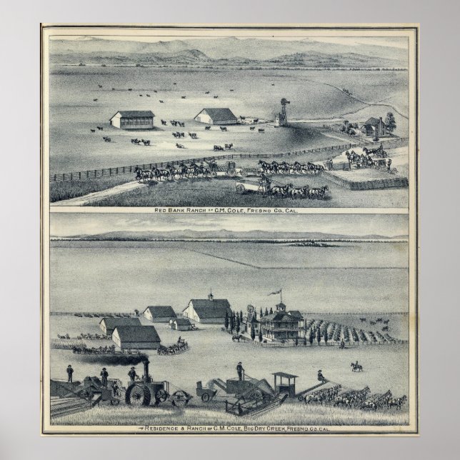 Cole Ranches Poster (Vorne)