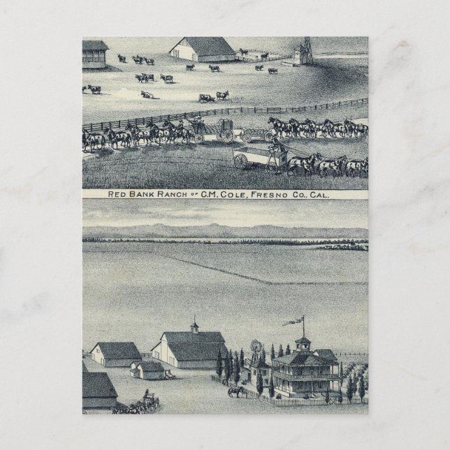 Cole Ranches Postkarte (Vorderseite)