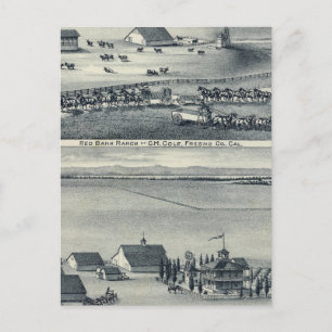 Cole Ranches Postkarte