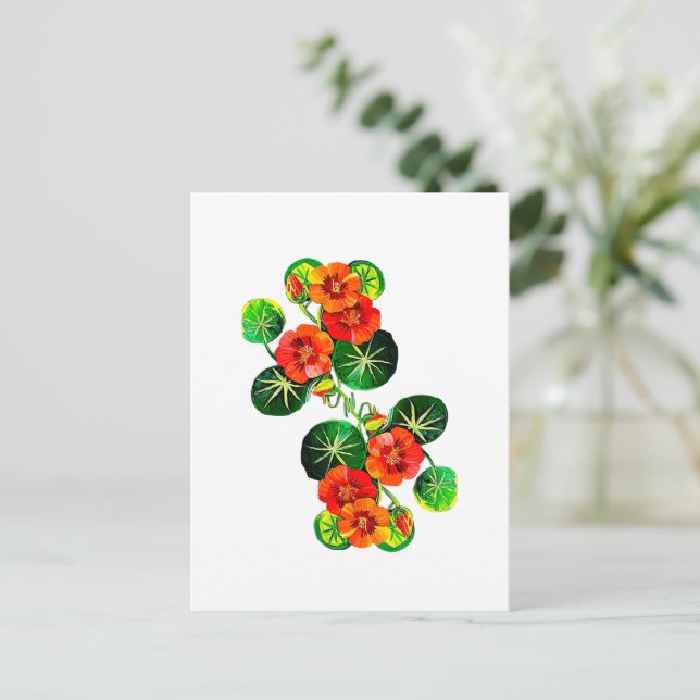 coleção Flores do Brasil capuchinha,  Postkarte (Stehend Vorderseite)