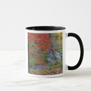 Coles Creek gesäumt von Herbst-Ahornbäumen in der Tasse