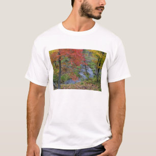 Coles Creek gesäumt von Herbstahornbäumen in der N T-Shirt