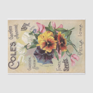 Cole's Garden Annual 1897 Blume Vintager Katalog Seidenpapier