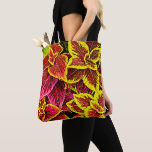 Coleus Leaf Burst Design