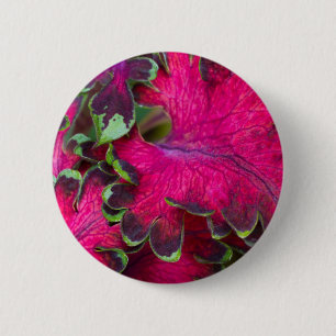 Coleus Macro Button