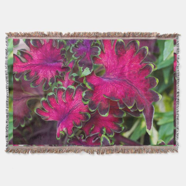 Coleus Macro Decke (Vorderseite)