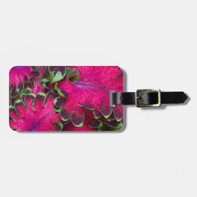 Coleus Macro Gepäckanhänger (Vorderseite horizontal)