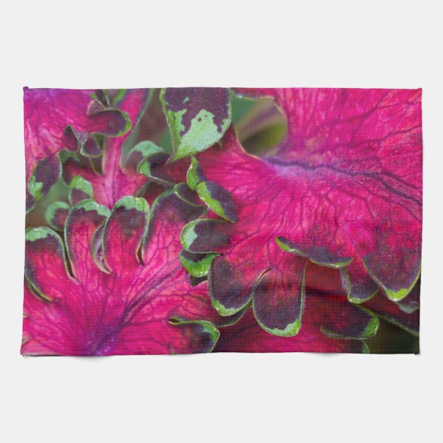 Coleus Macro Handtuch (Horizontal)