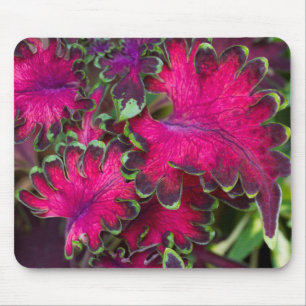 Coleus Macro Mousepad