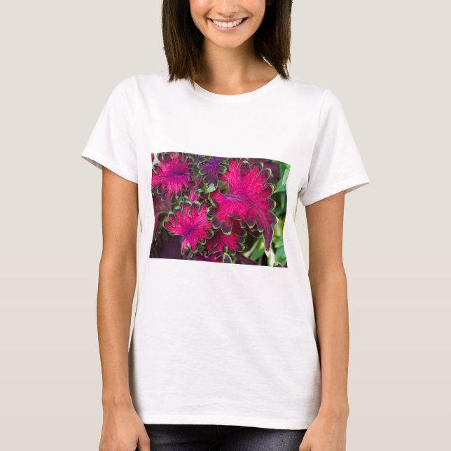 Coleus Macro T-Shirt (Vorderseite)
