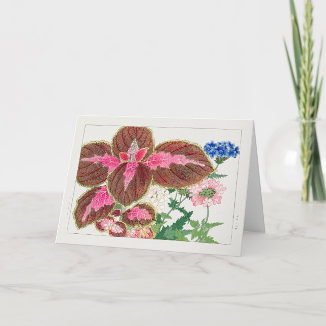 Coleus, Verbena, Tanigami Konan Karte (Vorderseite)