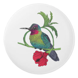 Colibri Illustration Keramik Knob Keramikknauf