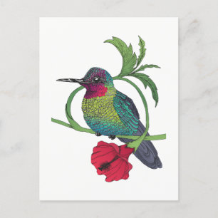 Colibri Illustration Postkarte