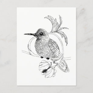 Colibri Illustration Postkarte