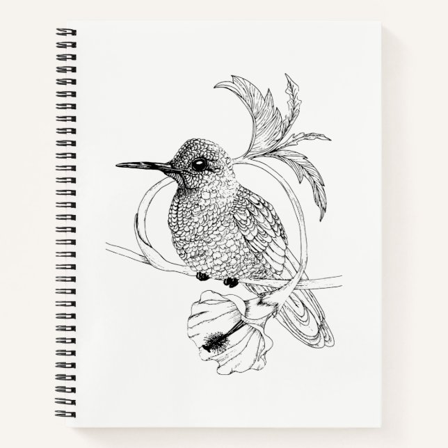 Colibri-IllustrationsNotebook Notizbuch (Vorderseite)