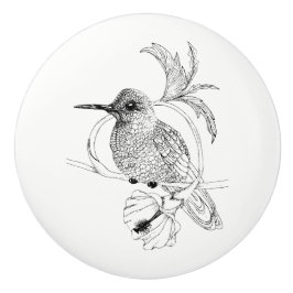 Colibri Vogel-Illustrations-Keramik-Griff Keramikknauf