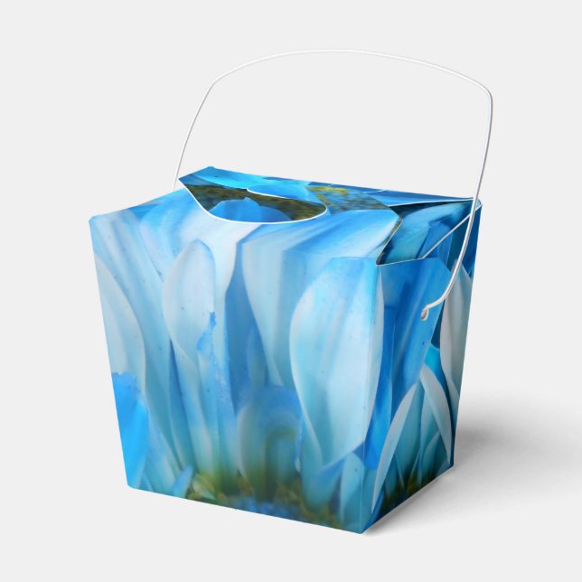 Collaert Geschenkschachtel (Vorderseite)