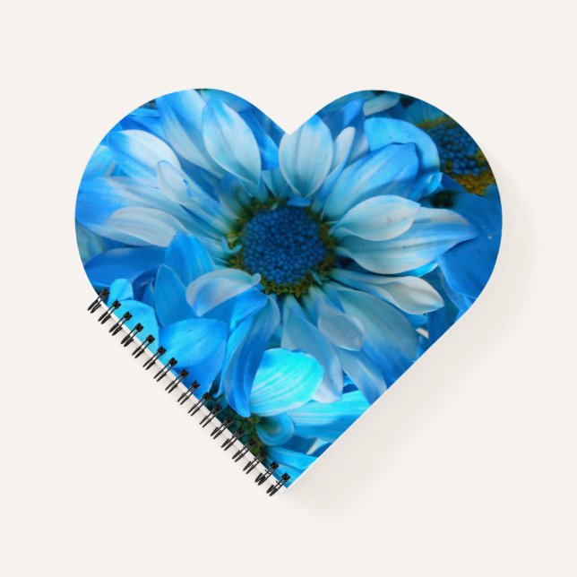 Collaert Notizbuch (Vorderseite)