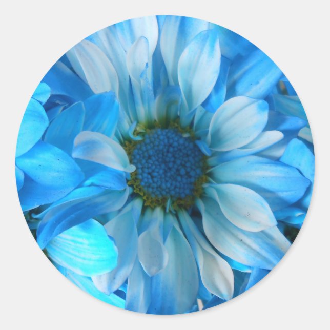 Collaert Runder Aufkleber (Vorderseite)