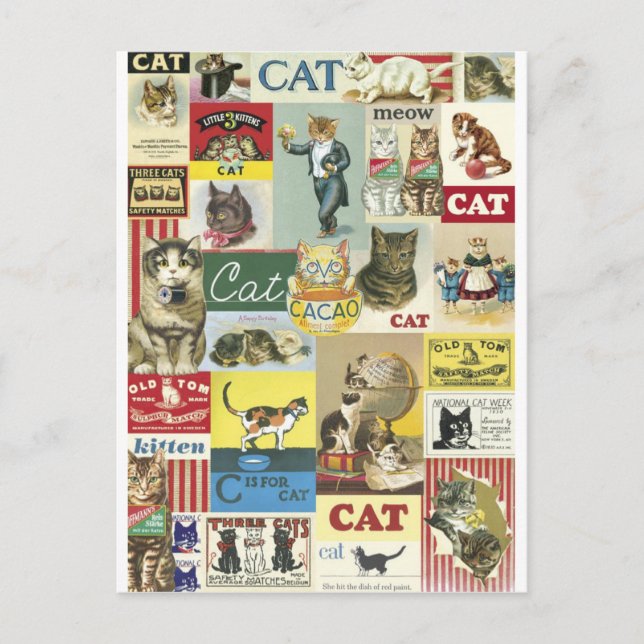 Collage Chats Vintag Postkarte (Vorderseite)