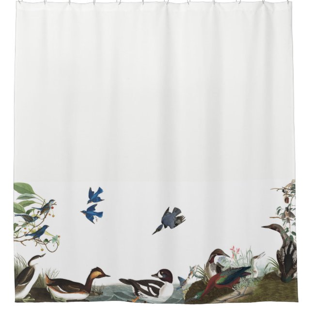 Collage des Vögel Audubon Tier-Duschvorhangs Duschvorhang (Vorderseite)