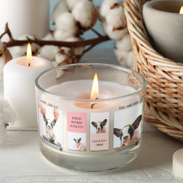 Collage Hund-Fotos | Hund ist meine Valentine | Ro Rechteckiger Aufkleber