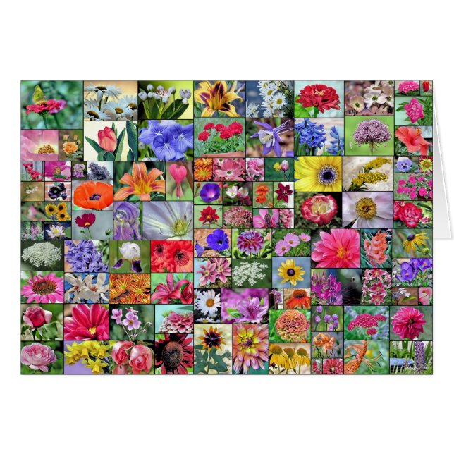 Collage of Blume card (Vorderseite (Horizontal))