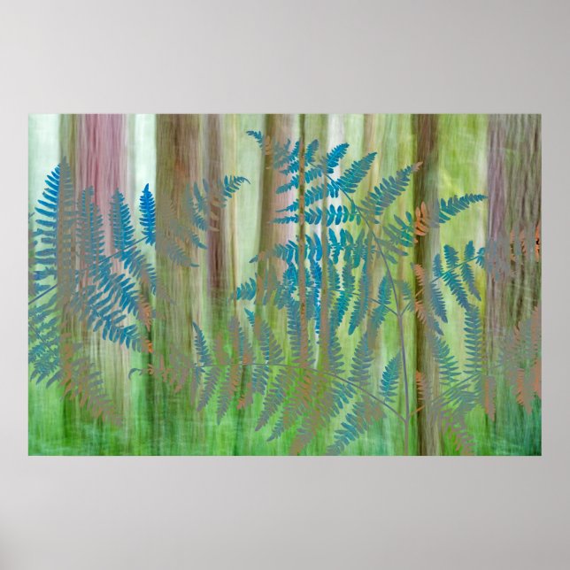 Collage of Bracken Ferns and Forest | Seabeck, WA Poster (Vorne)