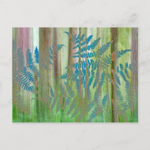Collage of Bracken Ferns and Forest   Seabeck, WA Postkarte