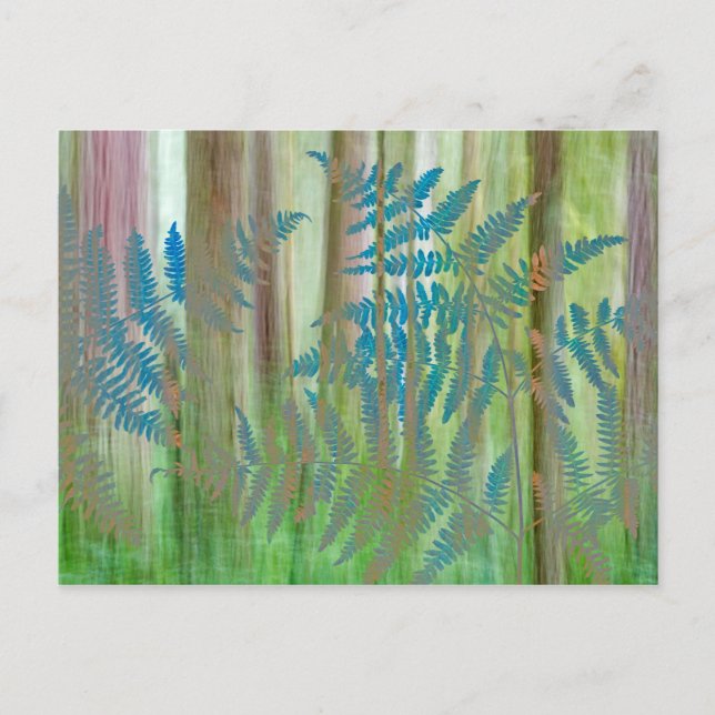 Collage of Bracken Ferns and Forest | Seabeck, WA Postkarte (Vorderseite)