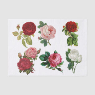 Collage of Rose Seidenpapier