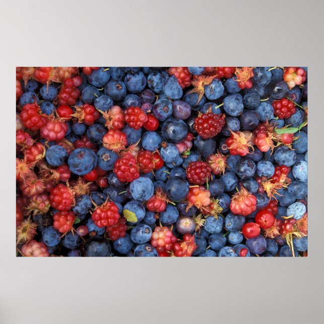 Collage of Wild Berries Blueberries Himbeeren Poster (Vorne)