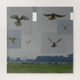 Collage Puzzle: Eemnes Polder BIRD OF PREY Puzzle