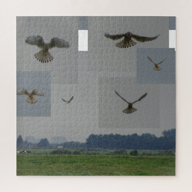 Collage Puzzle: Eemnes Polder BIRD OF PREY Puzzle (Vertikal)