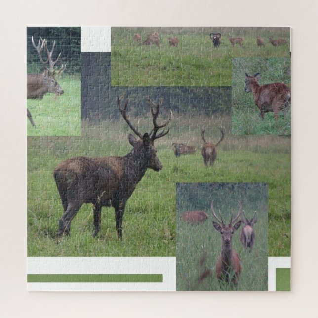 Collage Puzzle: Naturpark Lelystad RED DEER Puzzle (Vertikal)