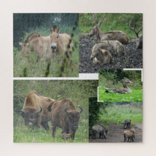 Collage Puzzle: Naturpark Lelystad TIERE Puzzle