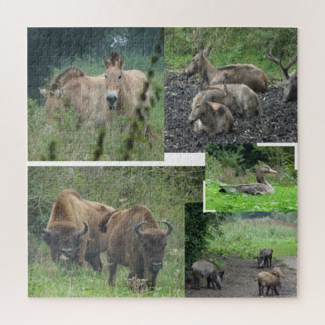 Collage Puzzle: Naturpark Lelystad TIERE Puzzle (Vertikal)