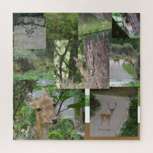 Collage Puzzle: Sauberes Hirsch Puzzle