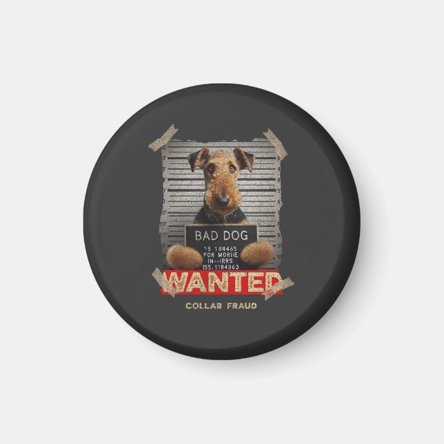 Collar Fraudster Magnet (Vorne)