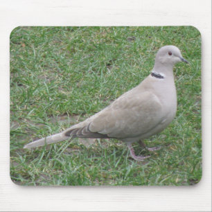 Collared Dove Mousepad