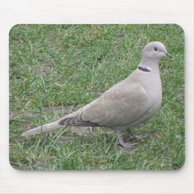 Collared Dove Mousepad (Vorne)