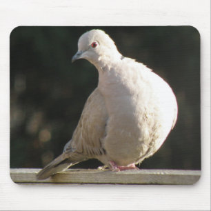 Collared Dove Mousepad