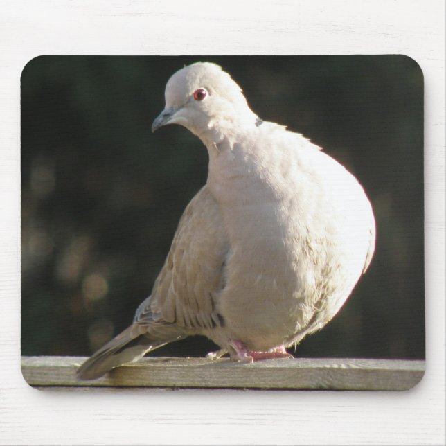 Collared Dove Mousepad (Vorne)