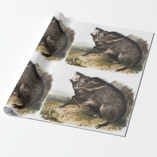 Collared Peccary Dycoteles torquatus Illustration Geschenkpapier (Ungerollt)
