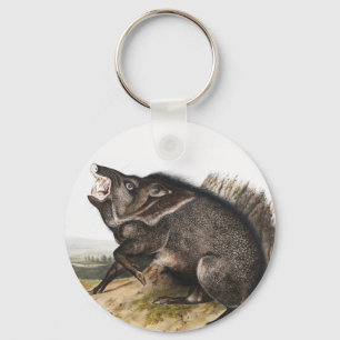Collared Peccary Dycoteles torquatus Illustration Schlüsselanhänger
